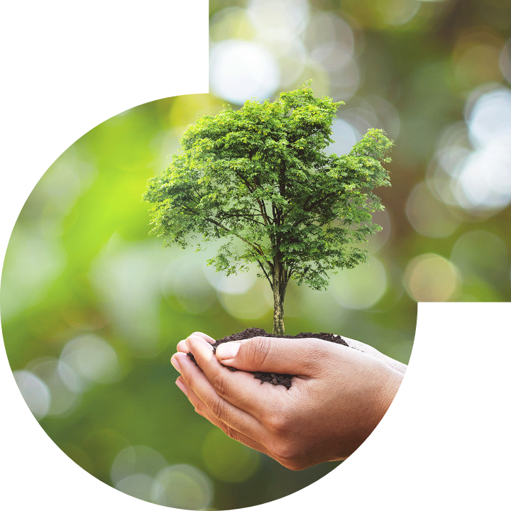 关怀人类、文化、环境与社会